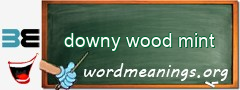 WordMeaning blackboard for downy wood mint